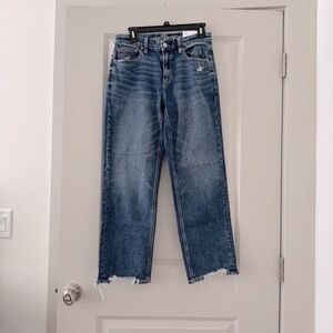 American Eagle Curvy Straight Jeans